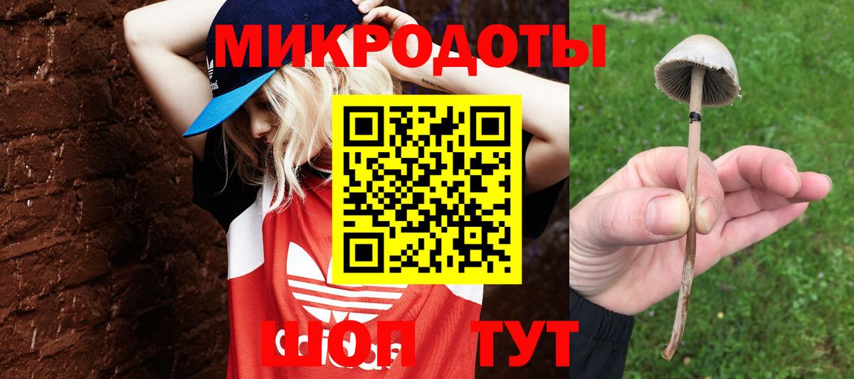 Галлюциногенные грибы мицелий  цены наркотик  Вход с VPN  Старая Купавна  Псилоцибиновые грибы ЛСД 