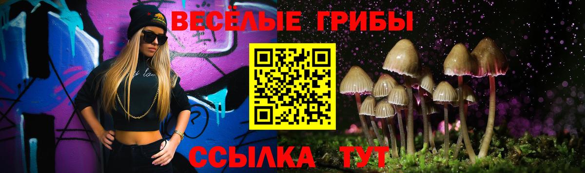 Галлюциногенные грибы GOLDEN TEACHER Старая Купавна